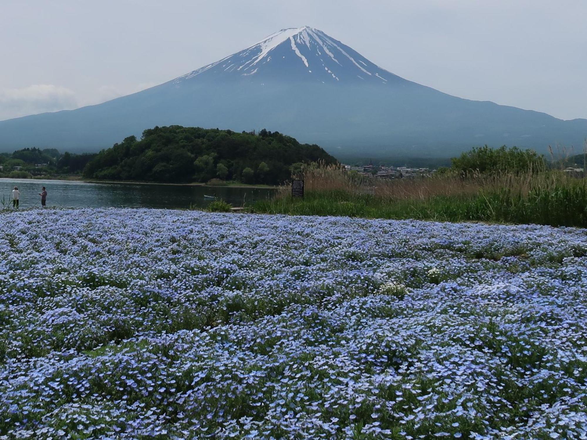 Vila Kuranoyado Matsuya Fudžikawagučiko Exteriér fotografie